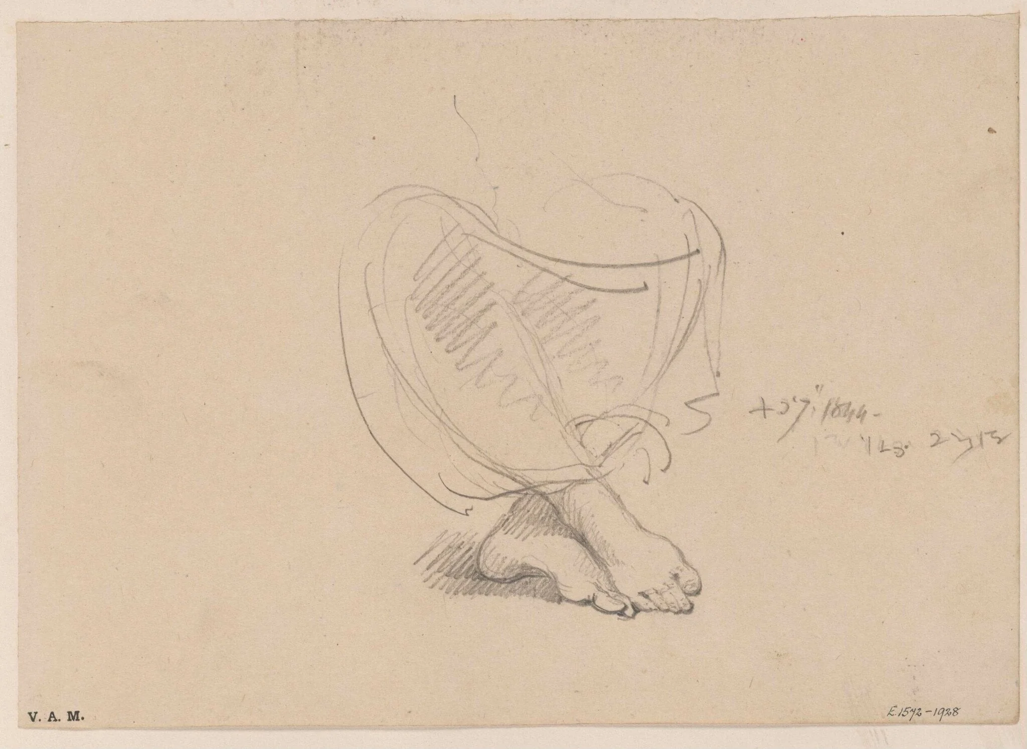 A woman's feet, detail