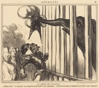 Au Jardin des Plantes, by Honoré Daumier, ink, 1859
