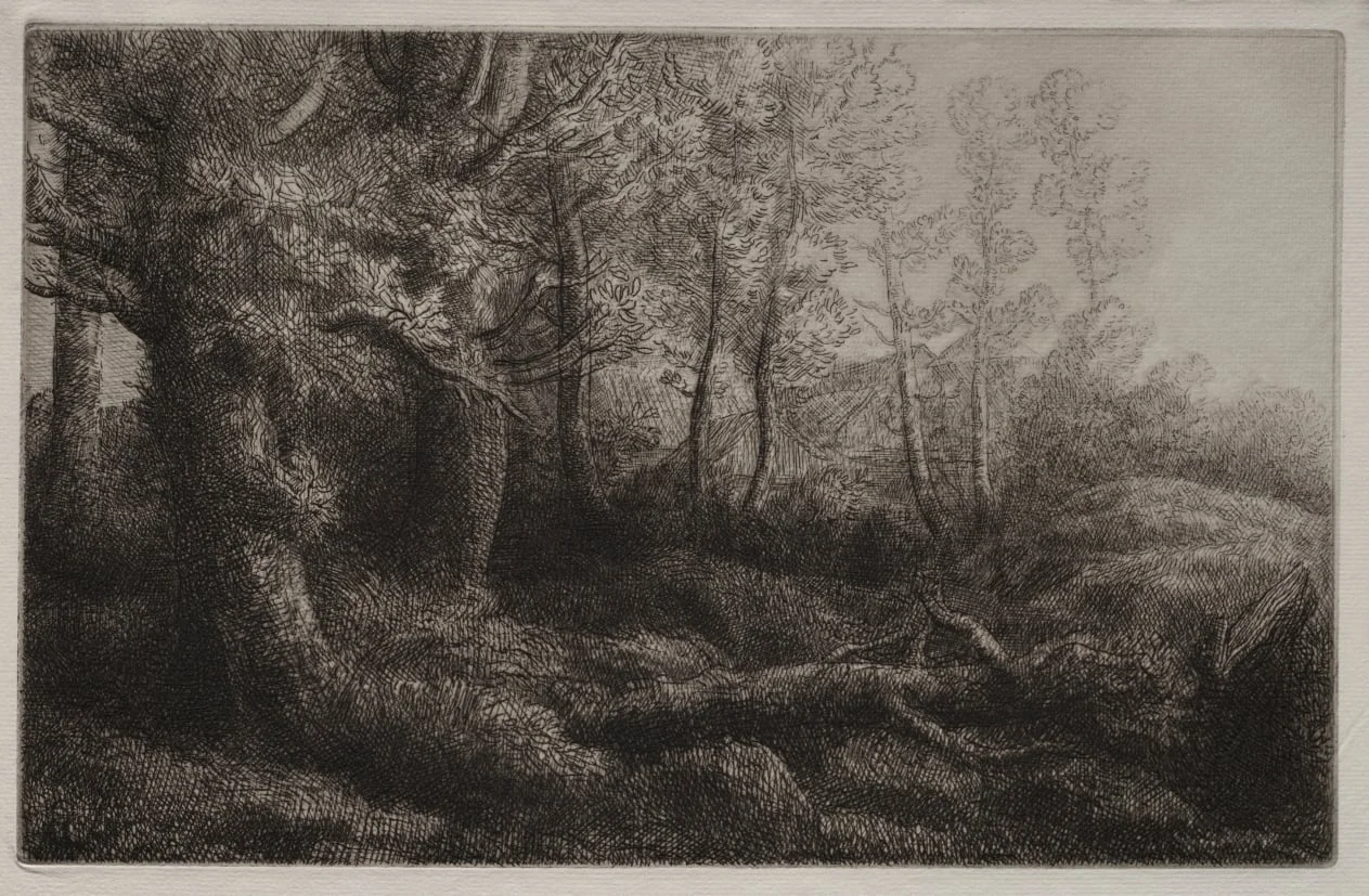 A Woodland Study, detail