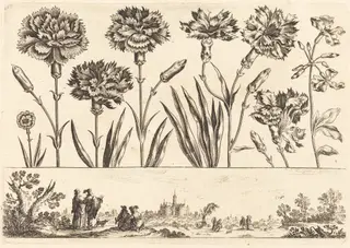 Flower Print no.9, by Nicolas Cochin, ink, 1645