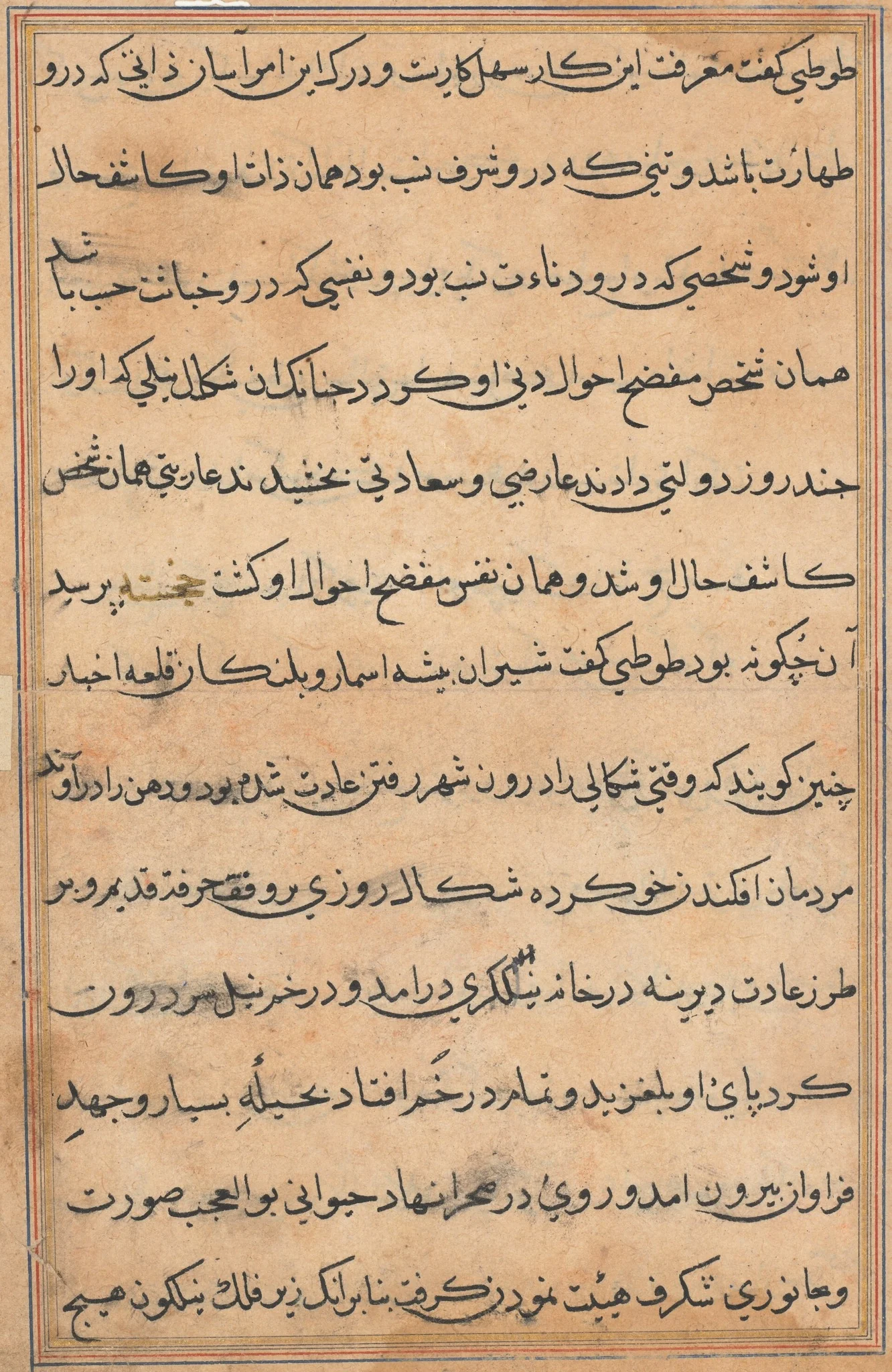 Page from Tales of a Parrot (Tuti-nama): text page, detail