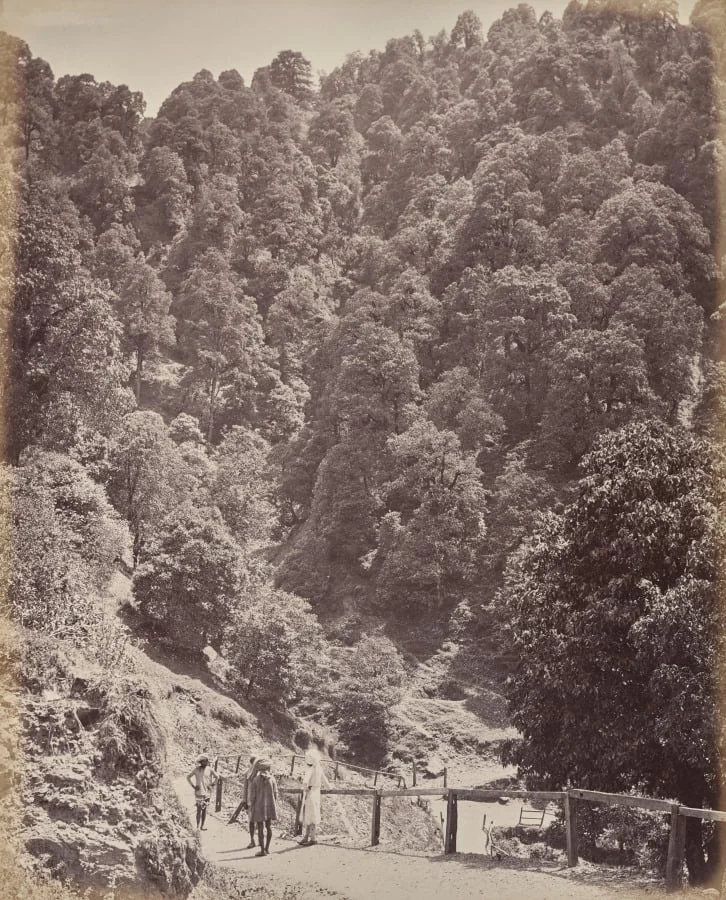 Shimla. View North of Mount Jakko, detail