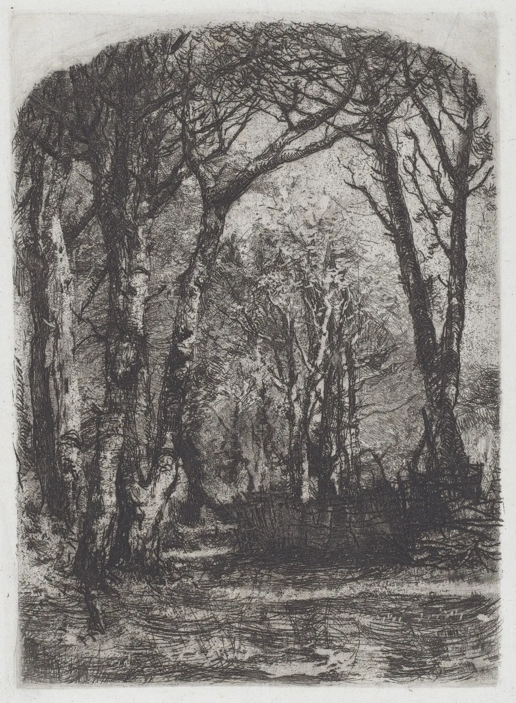Bosco [Woods], by Mosè Bianchi, ink, 1895