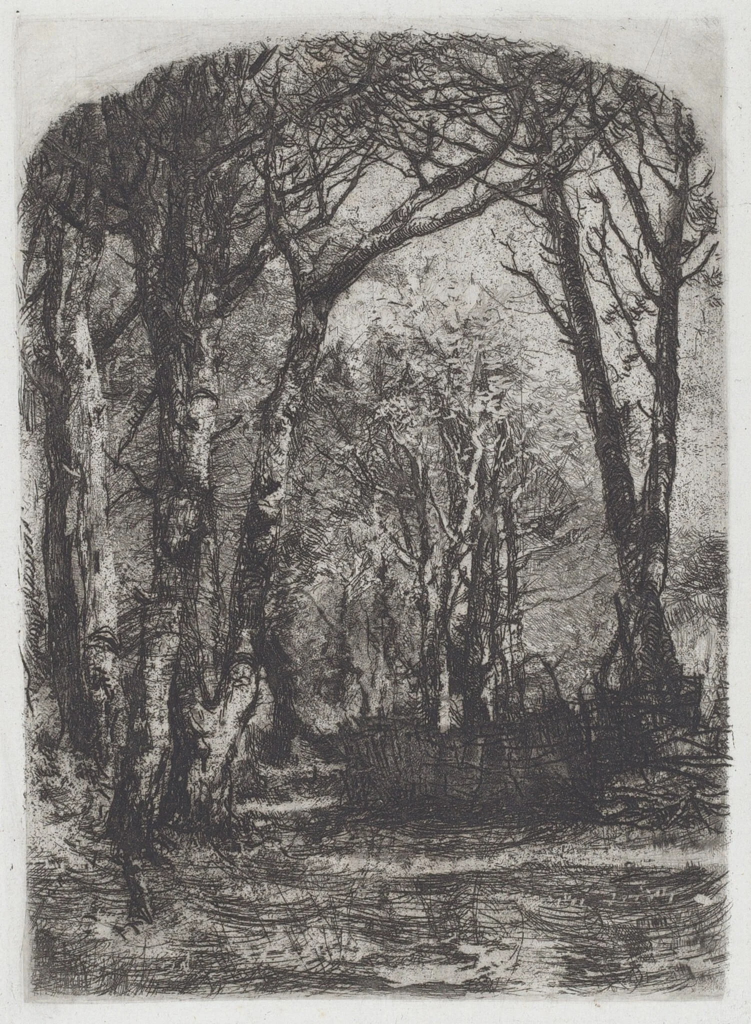 Bosco [Woods], detail