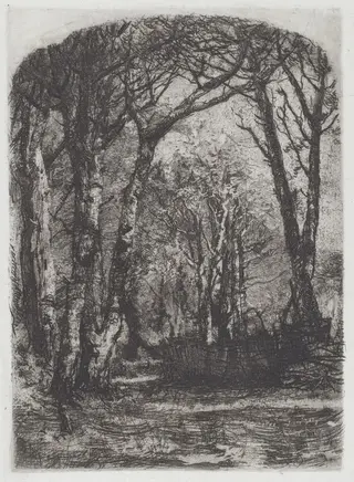 Bosco [Woods], by Mosè Bianchi, ink, 1895