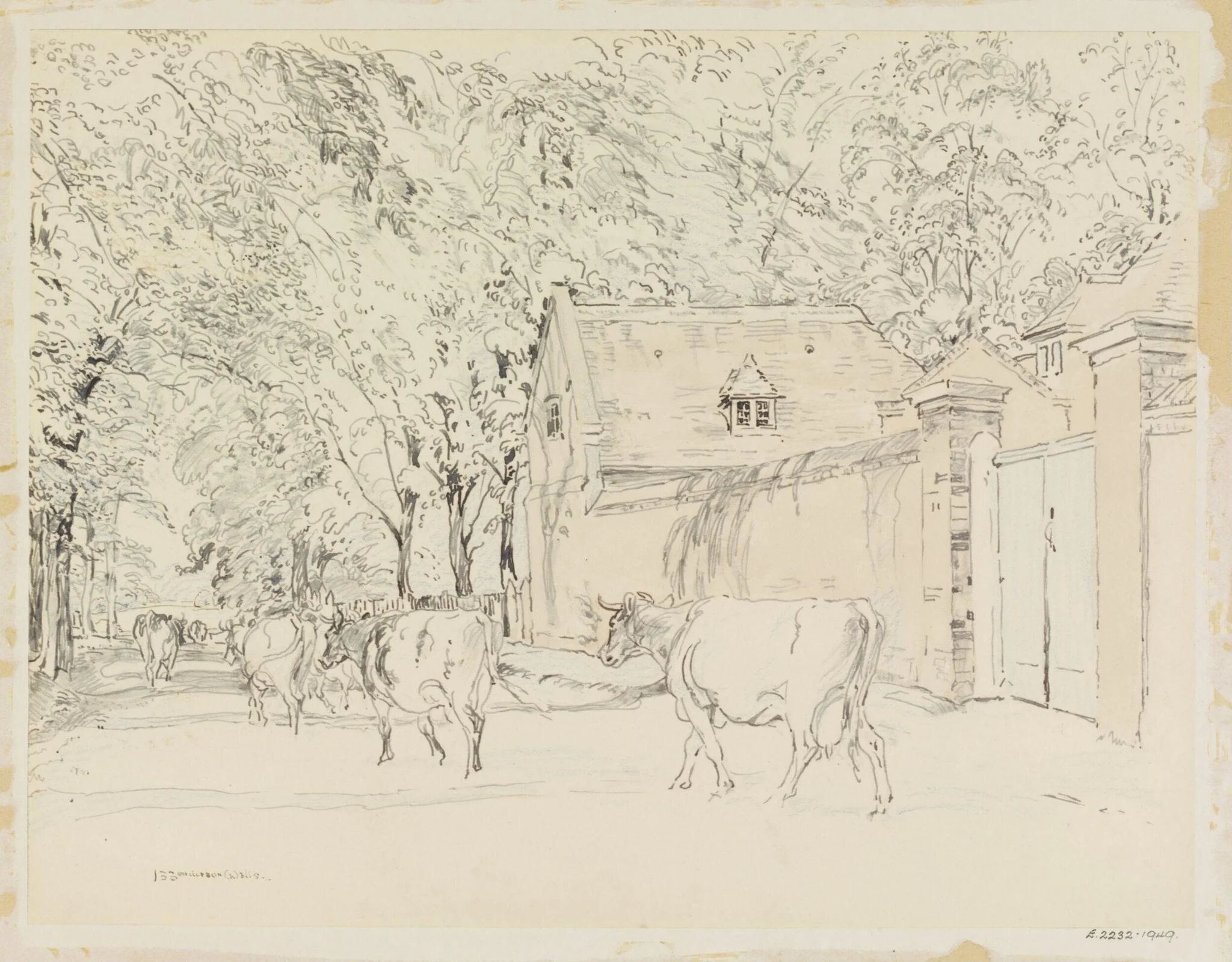 Ham Street, Cows from Manor Farm passing Ham House stables, detail