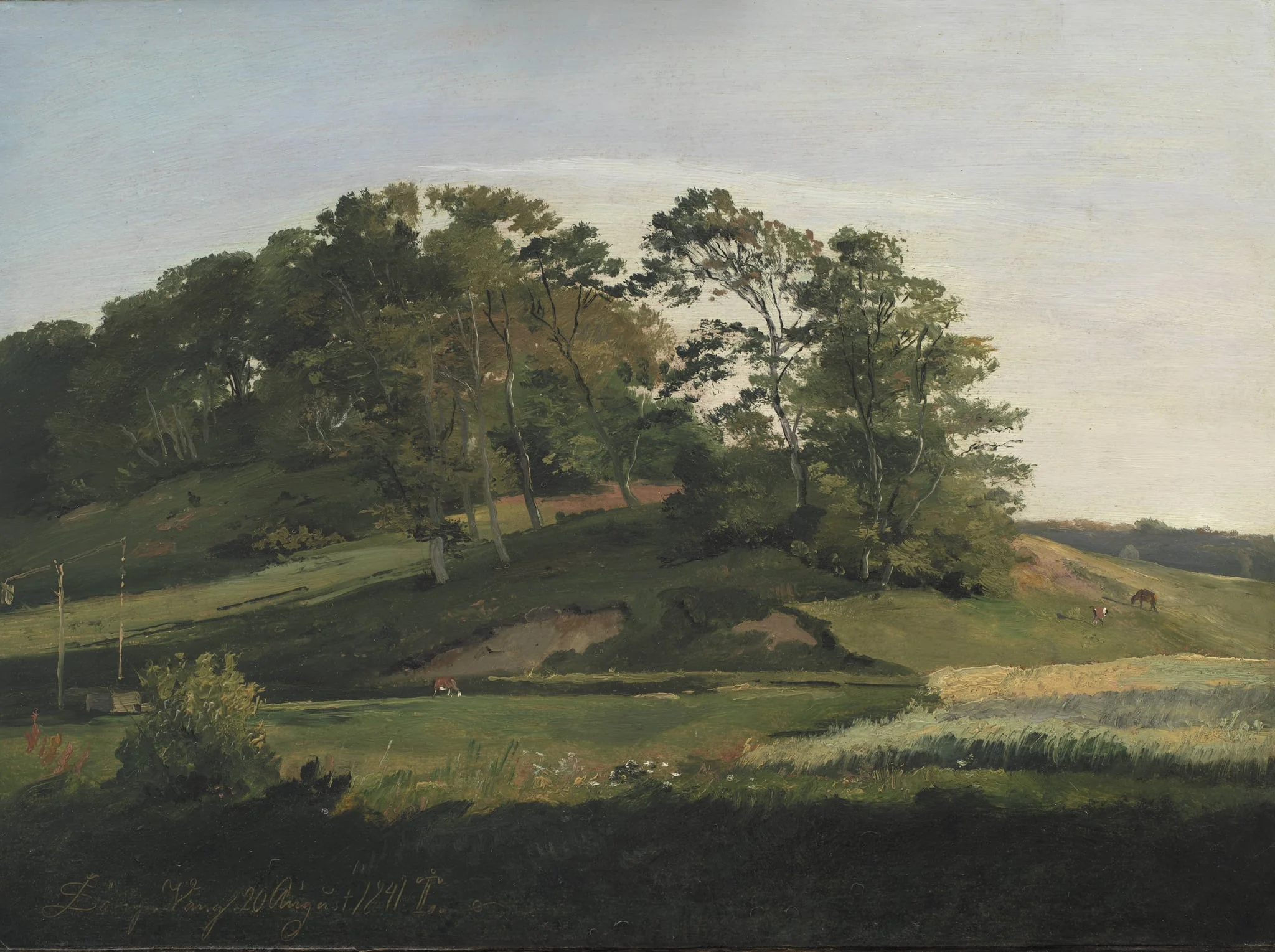 Wooded Hills at Sørupvang, detail