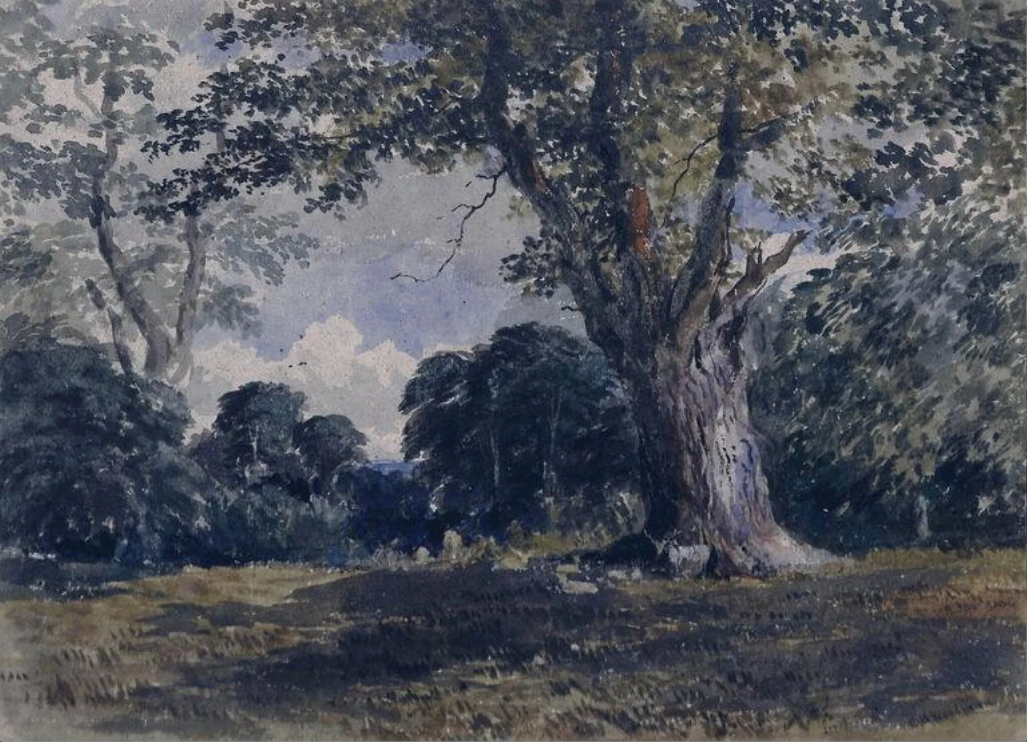 Deer In Richmond Park, detail
