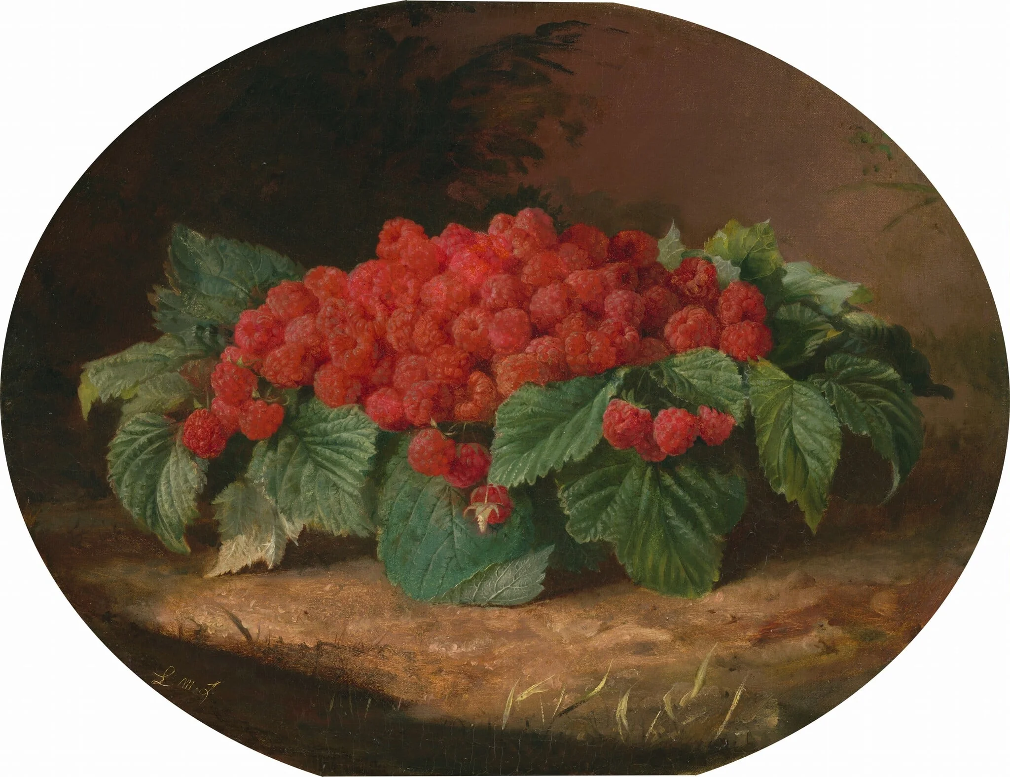 Raspberries, detail