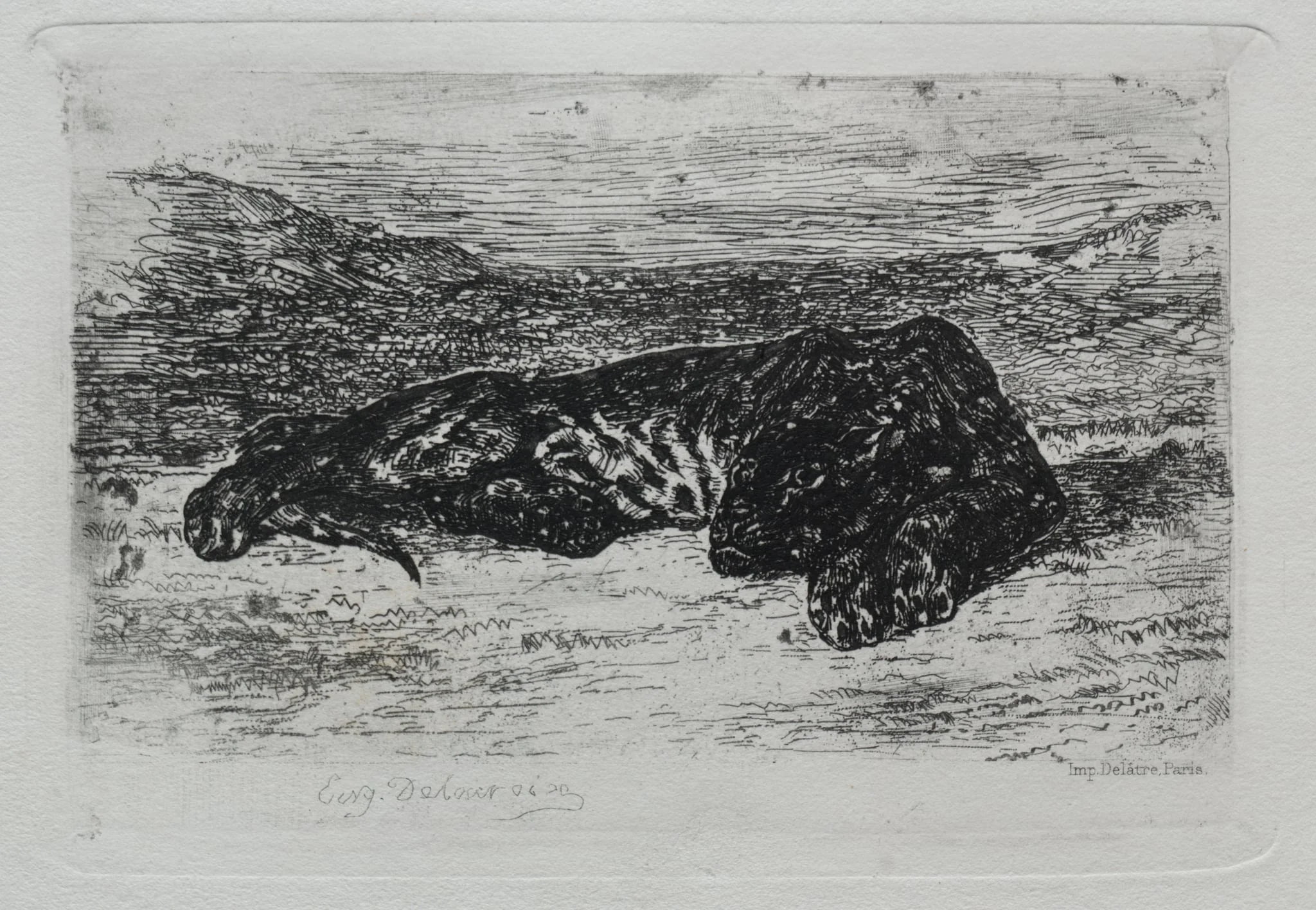 Crouching Tiger in the Desert, detail
