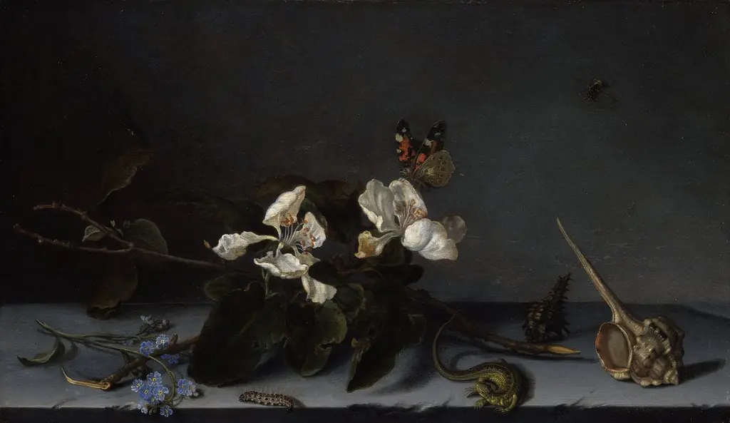 Still Life with Apple Blossoms, by Balthasar van der Ast, oil, 1635