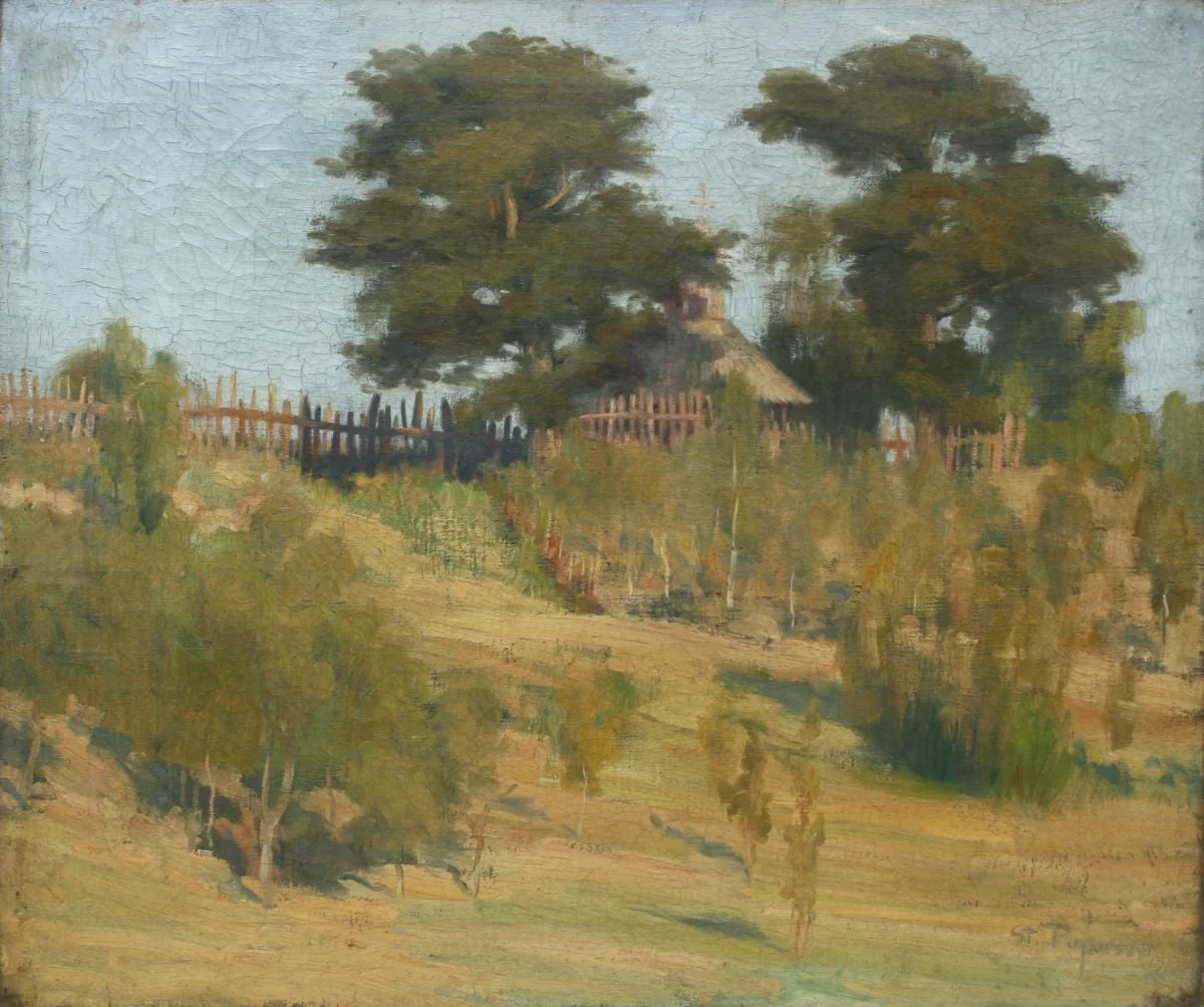 Peisaj - deal, detail