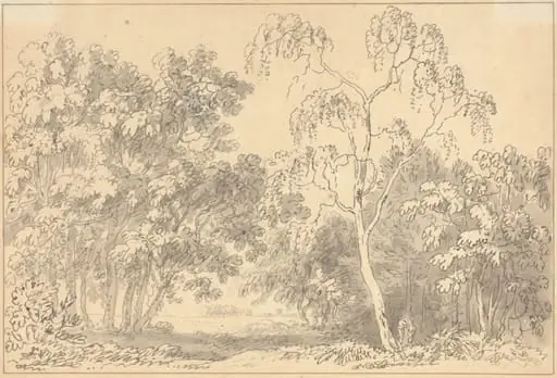 Wooded Landscape, by Anthony Devis, graphite, 1773