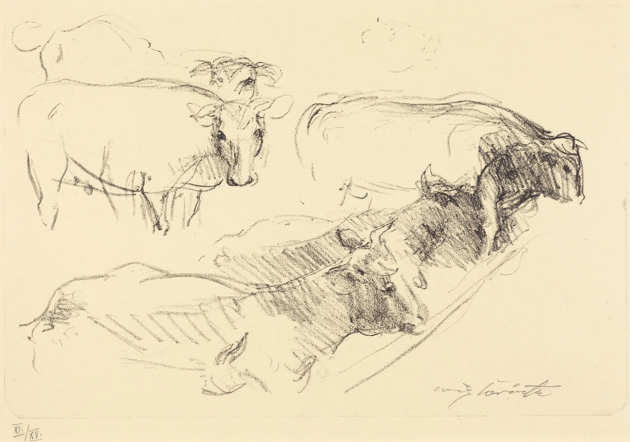 Kühe (Cows), detail