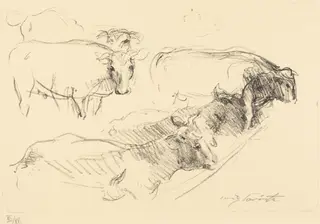 Kühe (Cows), by Lovis Corinth, ink, 1910