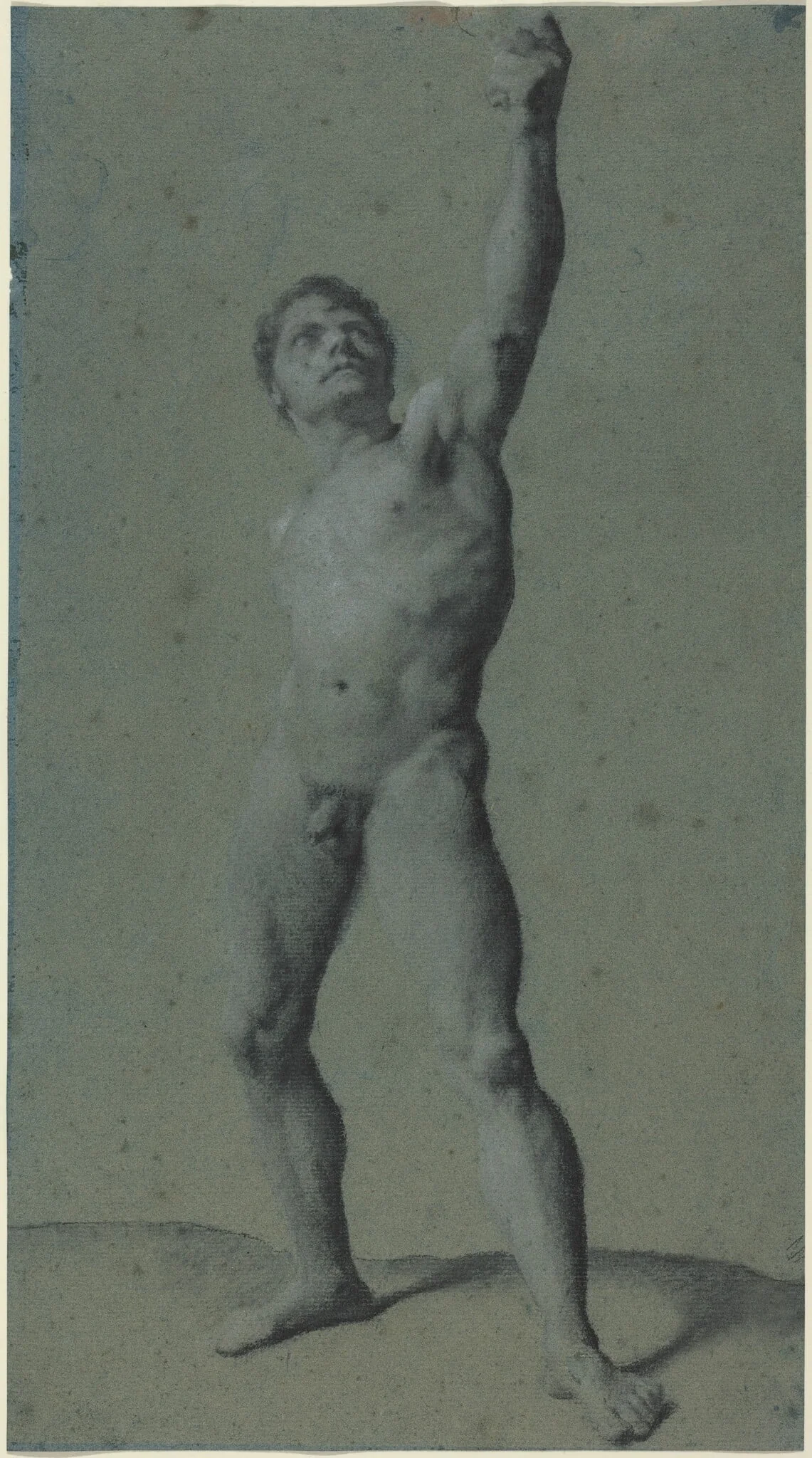 Male Nude Study, detail