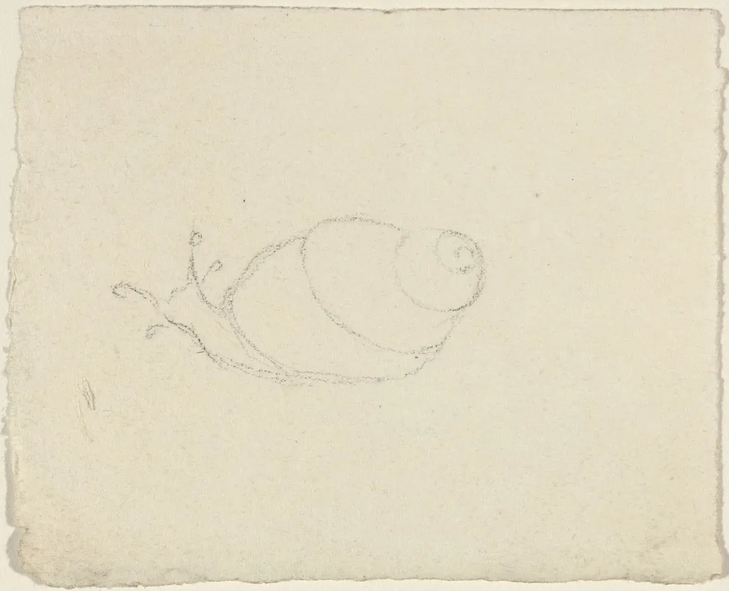 Snails [recto and verso], by John Flaxman, graphite, 1790