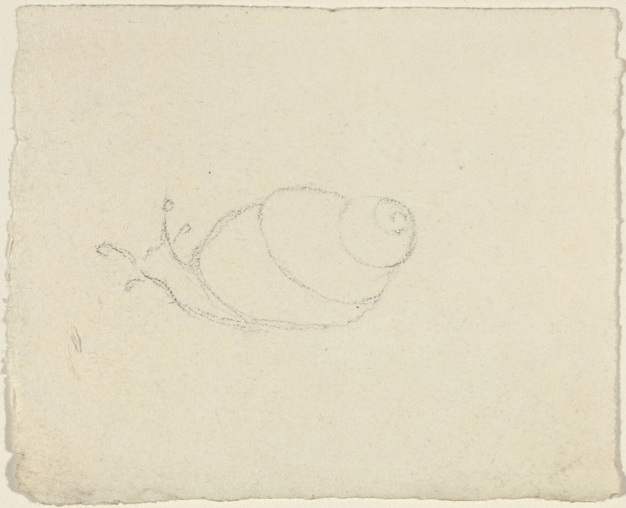 Snails [recto and verso], detail