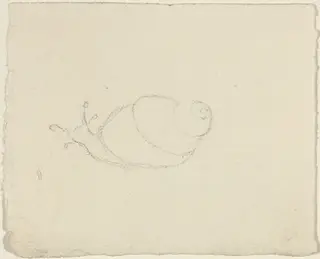 Snails [recto and verso], by John Flaxman, graphite, 1790