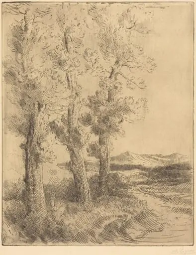 Woman Reading: Lesson under the Trees (La liseuse: La lecture sous les arbres), by Alphonse Legros, ink, 1874