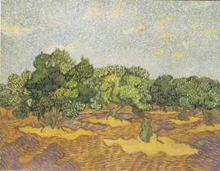 Olive Trees, by Vincent van Gogh, oil, 1889