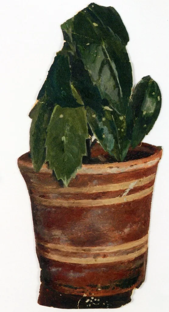 Potted Plant, detail