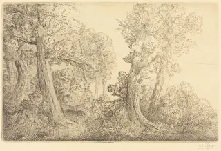 Near the Woods, Veronne (Pres du bois, Veronne), by Alphonse Legros, ink, 1874