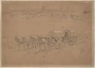 Supply Train, by Winslow Homer, graphite, 1864