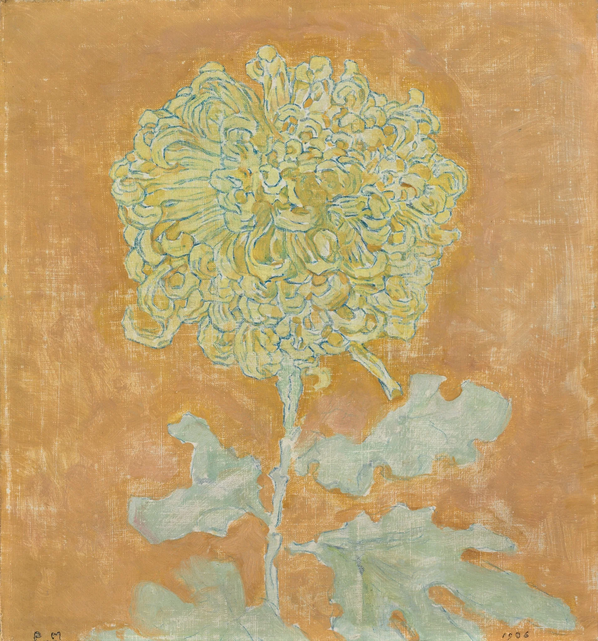 Chrysanthemum, detail