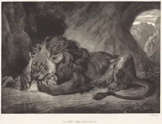 Lion of the Atlas Mountains (Lion de l'Atlas), by Eugène Delacroix, ink, 1829