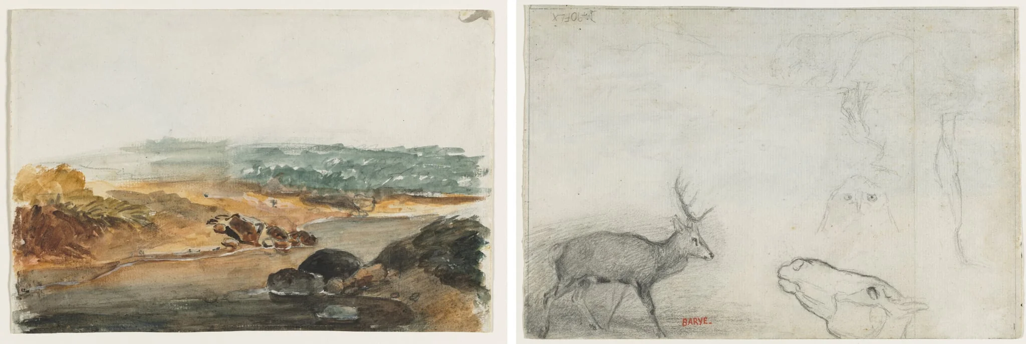 Landscape (recto); Studies of Animals (verso), detail