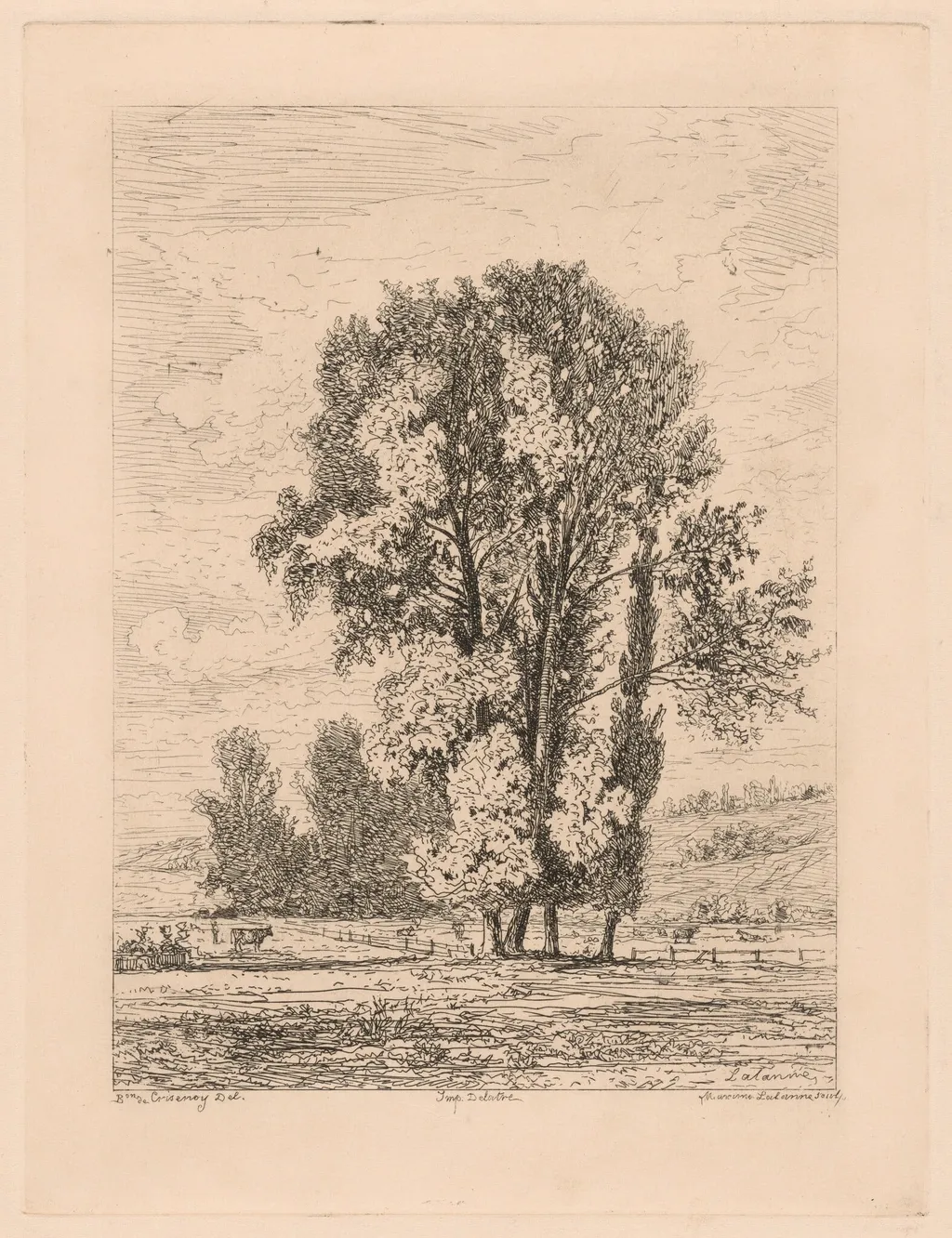 Landscape with Clump of Four Trees, by Maxime Lalanne, ink, 1883