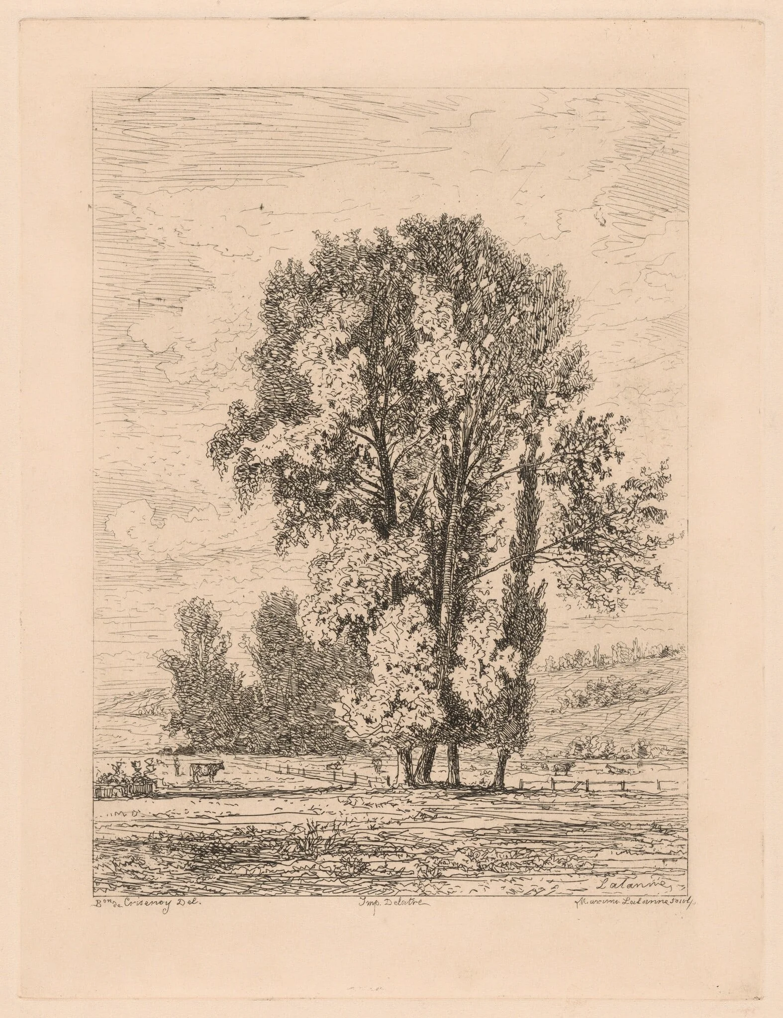 Landscape with Clump of Four Trees, detail