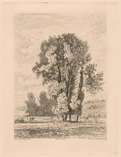 Landscape with Clump of Four Trees, by Maxime Lalanne, ink, 1883