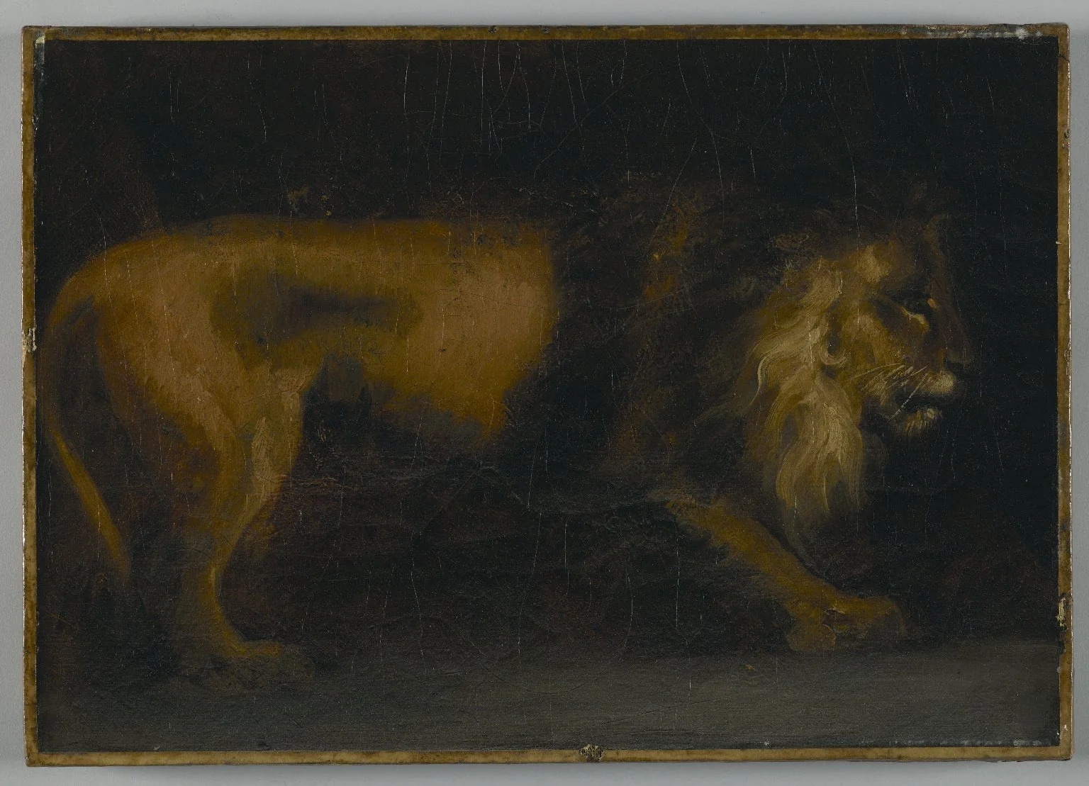 Study of a Lion, detail