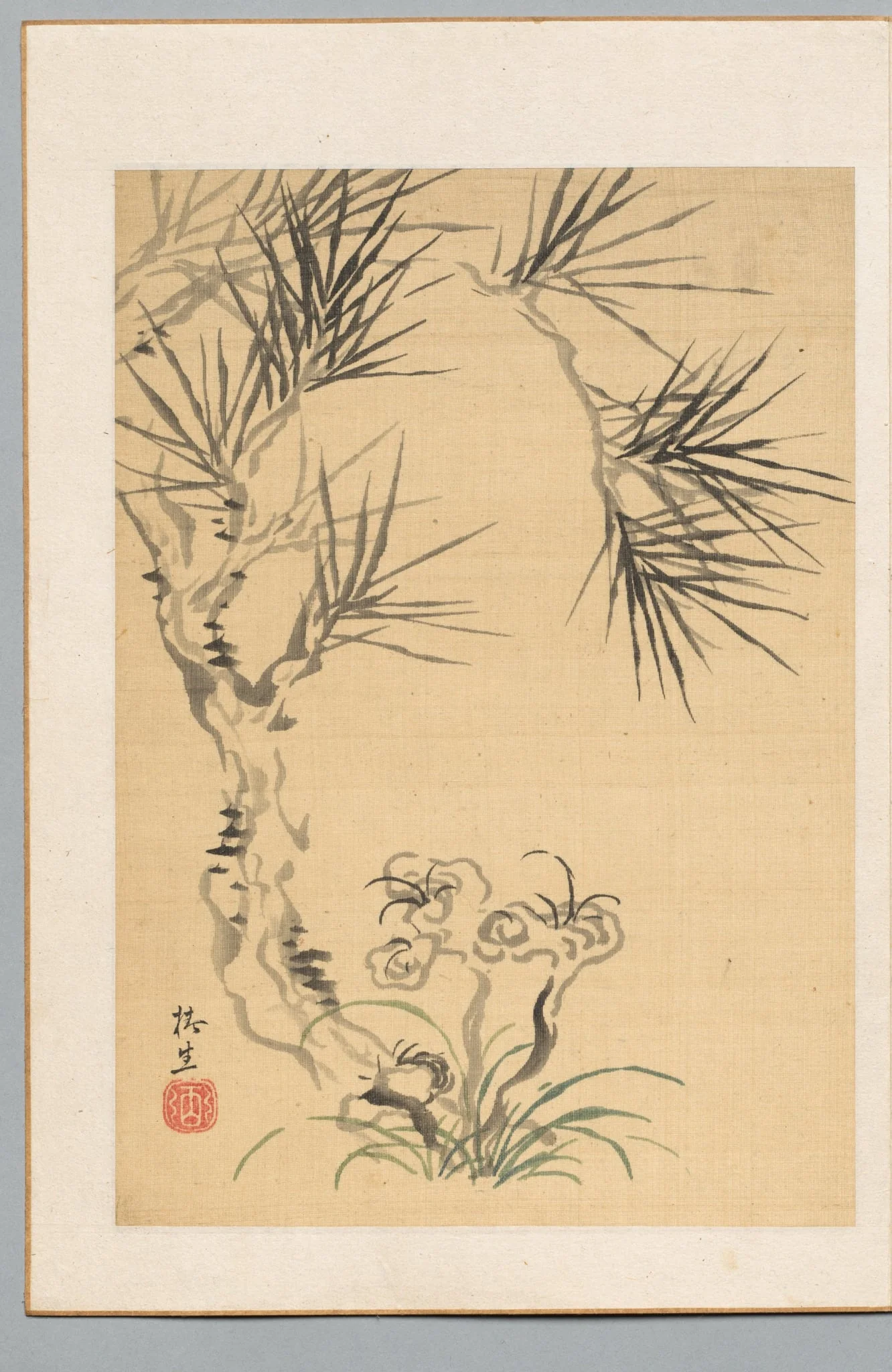 Pine Tree and Fungus, detail