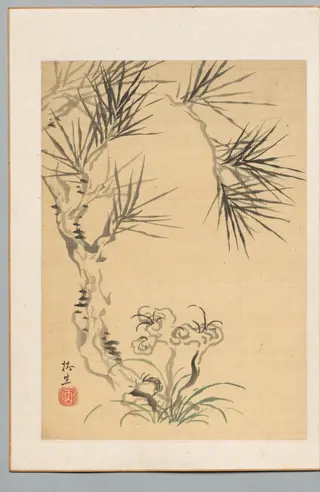 Pine Tree and Fungus, by Tsubaki Chinzan, 1804