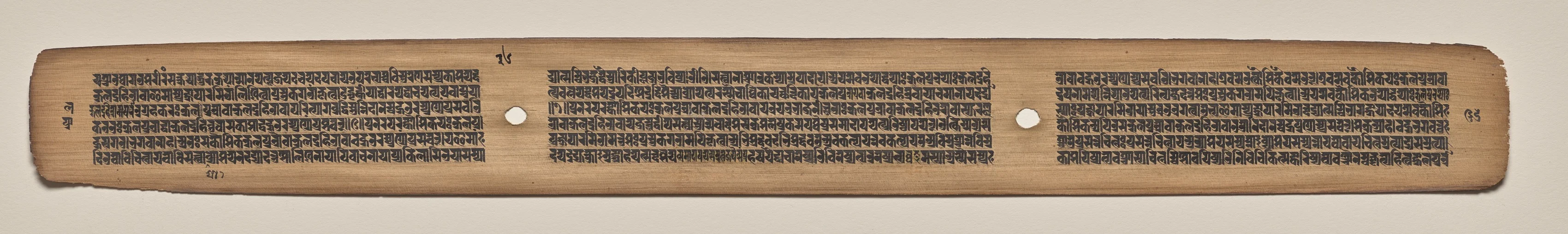 Text, Folio 36 (verso), from a Manuscript of the Perfection of Wisdom in Eight Thousand Lines (Ashtasahasrika Prajnaparamita-sutra), detail