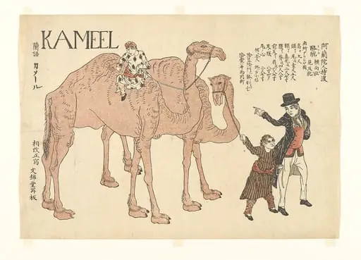 「阿蘭陀人持渡駱駝」|Camels with Dutch Handlers, 1821