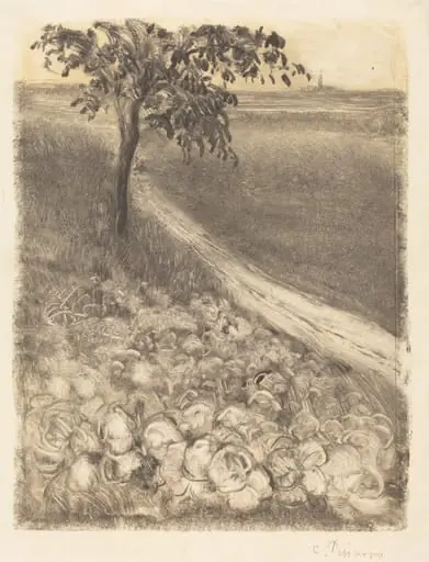 Road by a Field of Cabbages, by Camille Pissarro