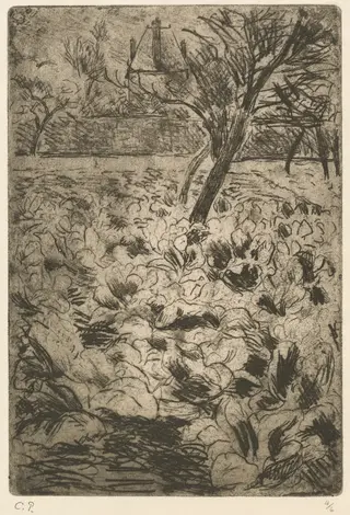 The Cabbage Field (Le Champ de choux), by Camille Pissarro