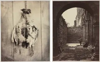 Partridges (recto); L.D. Campbell's Tomb (verso)