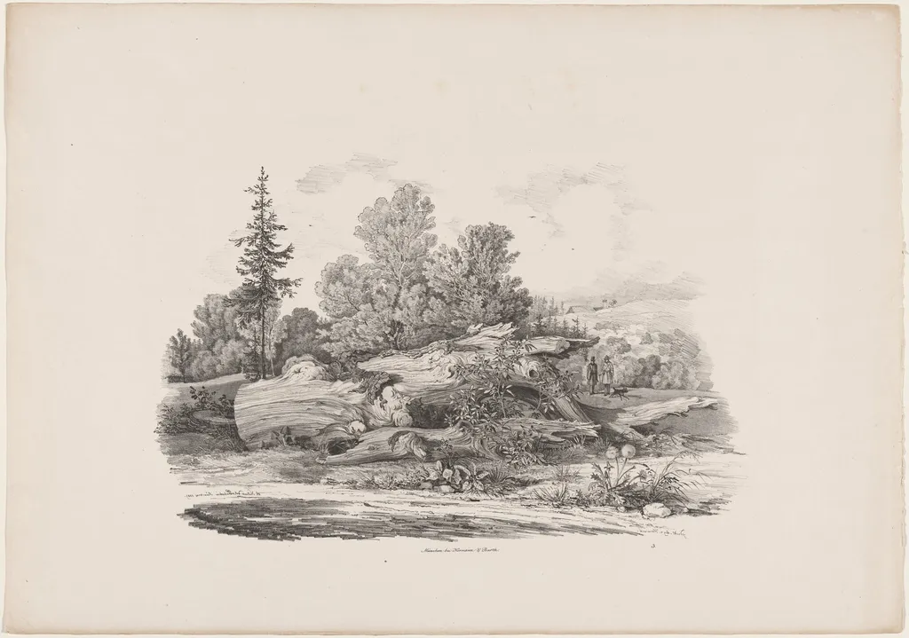 Forest Clearing with an Oak Trunk, by Carl August Lebschée, ink, 1829