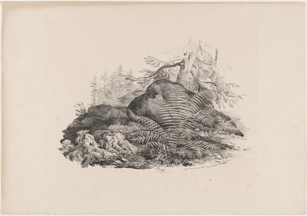 Hilly Forest View with a Fern, by Carl August Lebschée, ink, 1829