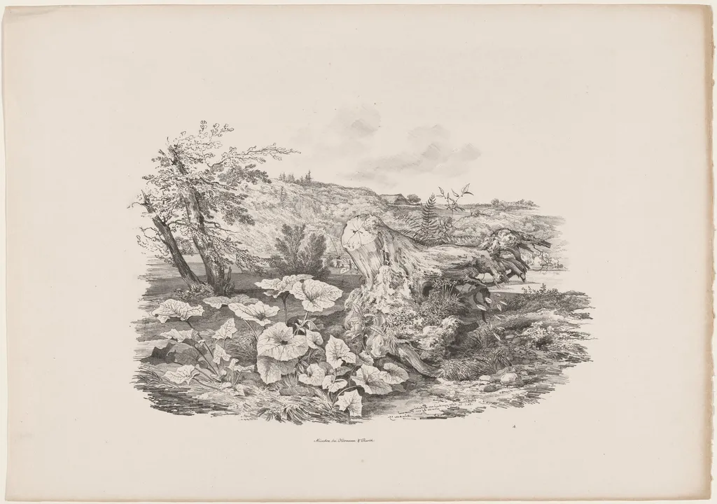 Landscape with a Tree Trunk, by Carl August Lebschée, ink, 1829