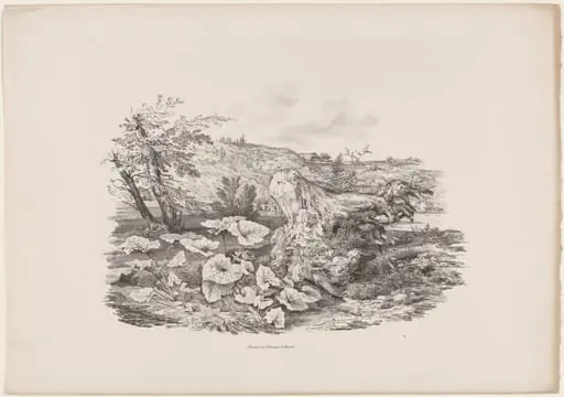 Landscape with a Tree Trunk, by Carl August Lebschée
