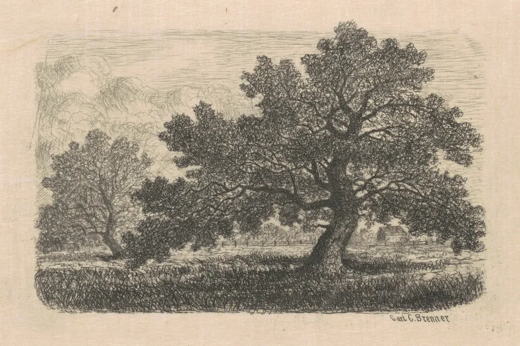 Apple Trees, by Carl C. Brenner, ink, 1880