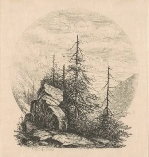 Pines, by Carl C. Brenner