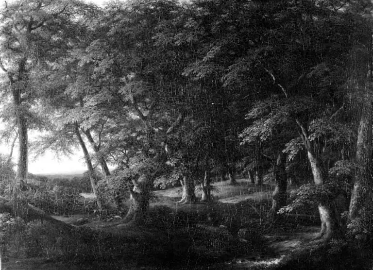 Woodland Scene from Southern Sweden, by Carl Johan Fahlcrantz