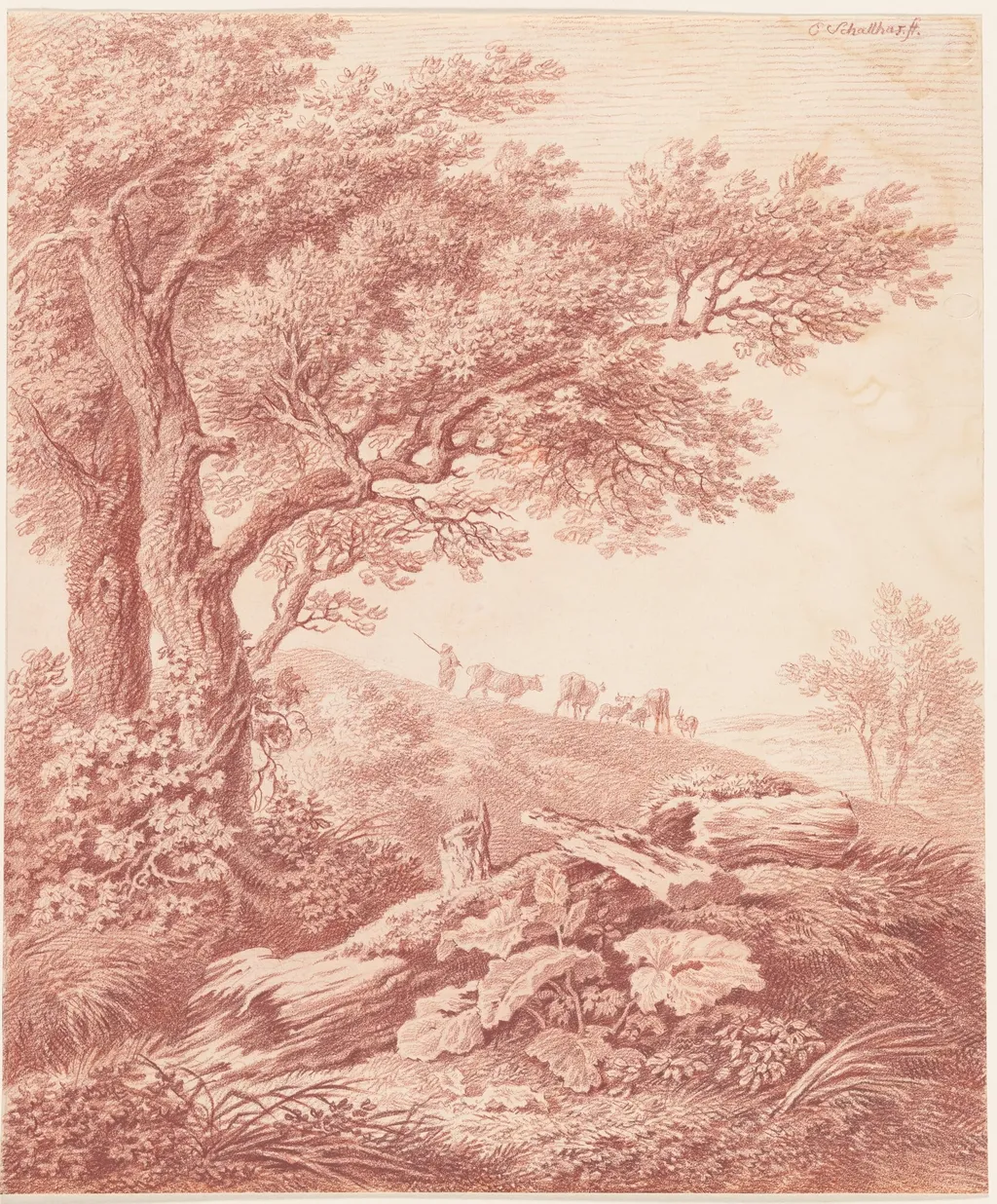 Ancient Trees in a Pastoral Landscape, by Carl Philipp Schallhas, chalk, 1792